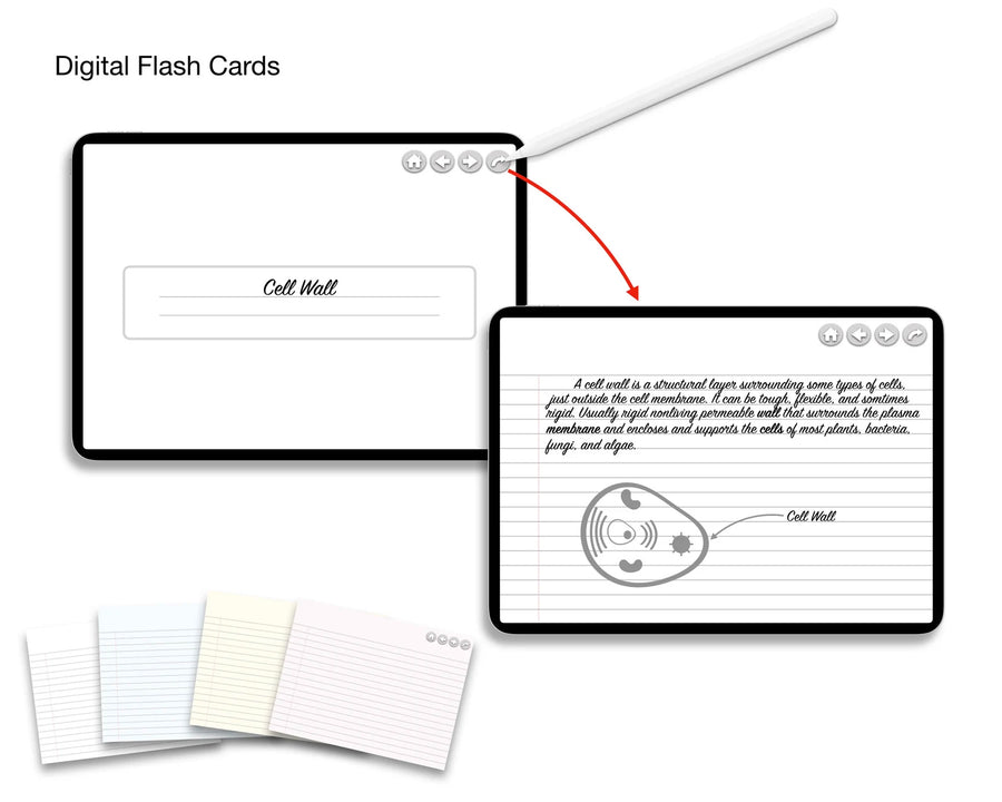 Digital Notebooks & Flash Cards